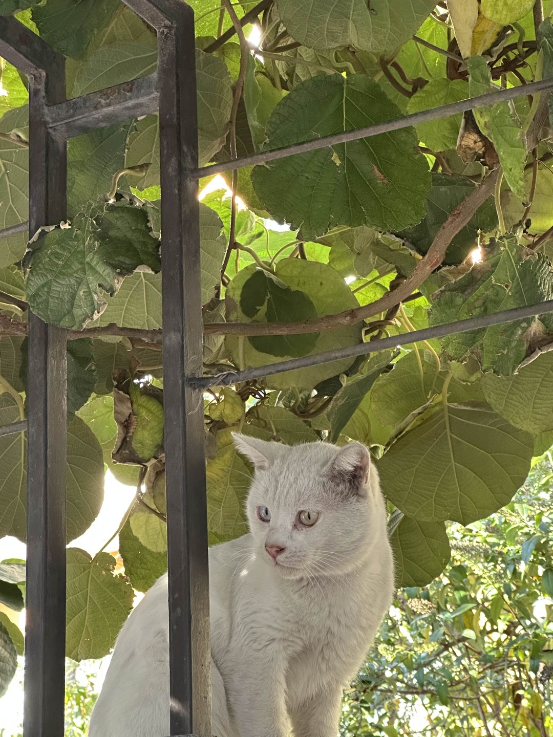 Эта экскурсия - настоящее удовольствие!