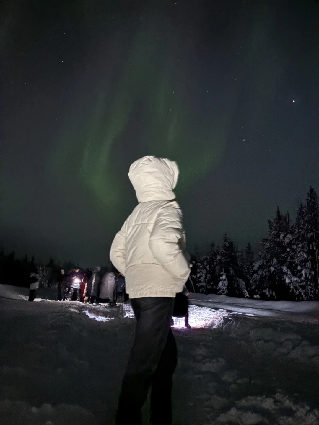 Северное сияние: на поиски солнечного ветра (Татьяна)