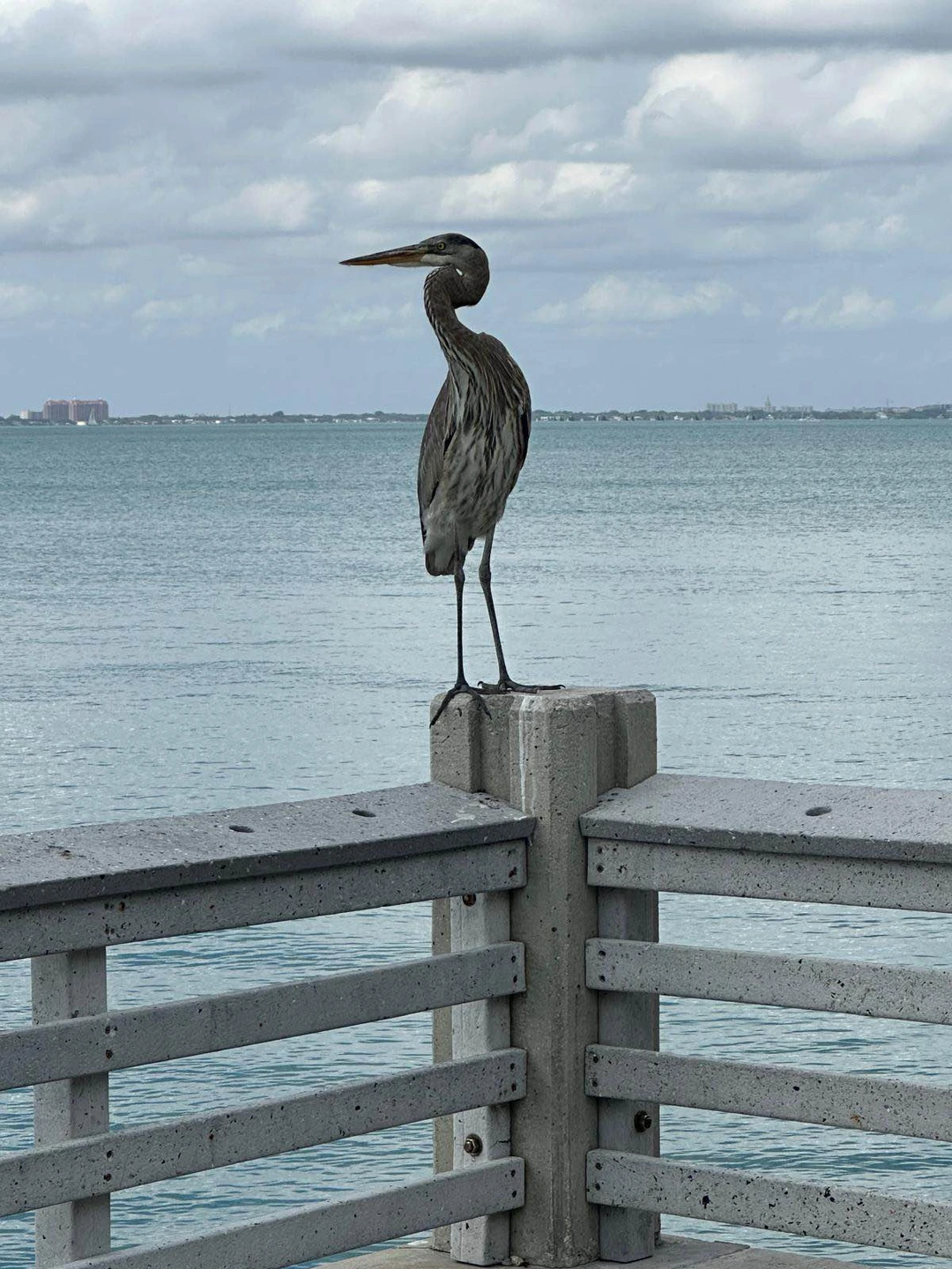 Провели великолепные два дня экскурсий в Майями с Екатериной. Комфортный автомобиль, интересный рассказ. Всё понравилось. Рекомендуем
