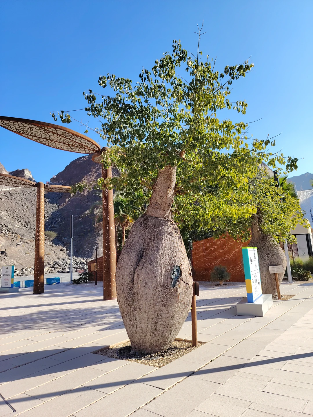 Замечательная экскурсия с необычным для ОАЭ маршрутом. Мохаммад прекрасный рассказчик, любящий эту страну и видно его