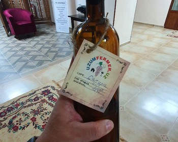 Возвращение в Ташкент, поездка на винодельню с прогулкой по саду и дегустацией