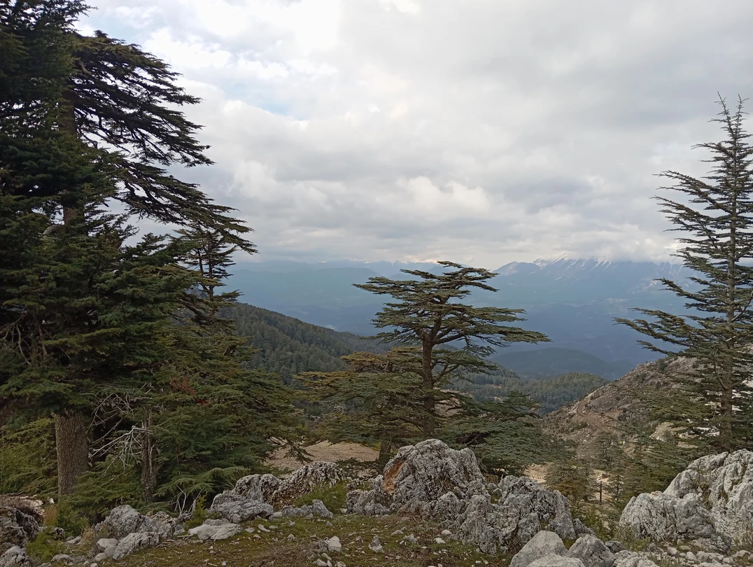 Поездка в горы с Алааддином стала лучшим событием нашего зимнего отдыха в Кемере