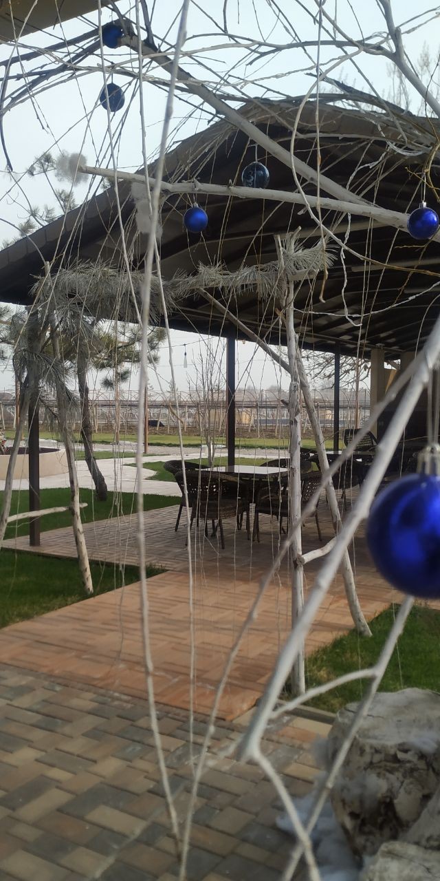 Очень довольна, посещением загородной Винодельни в окрестностях Ташкента. Атмосферное место, много новогодних декораций, всё сделанно с