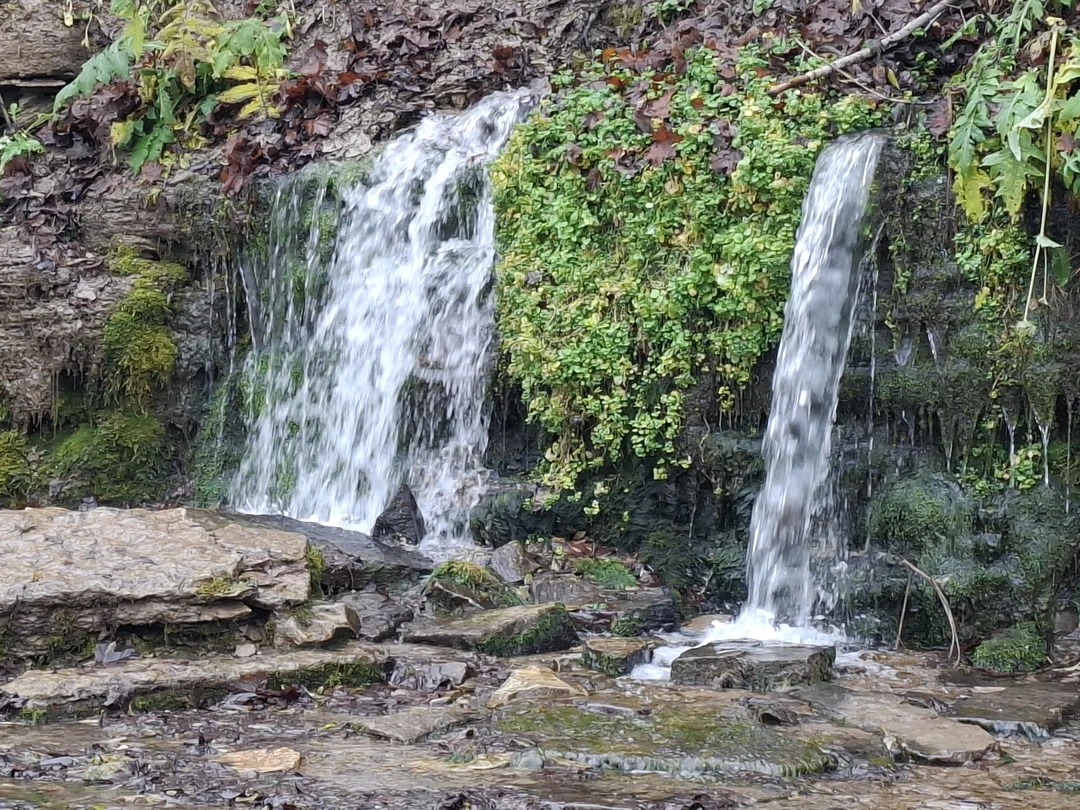 Автобусная экскурсия из Пскова в Изборск и Печоры (Мария)