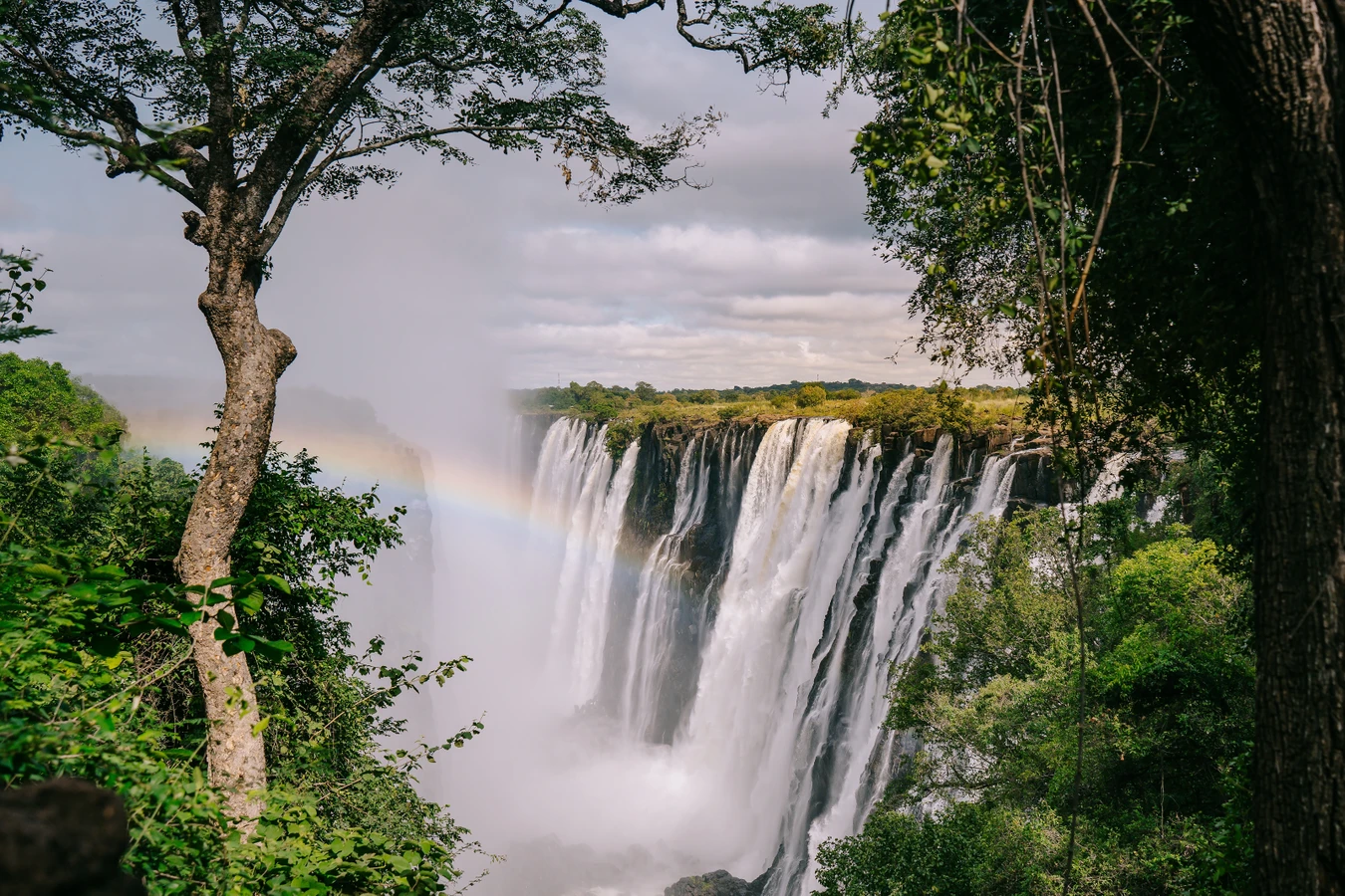 Большое приключение в ЮАР и Зимбабве: сафари, полёт на вертолёте, водопад Виктория и релакс у океана