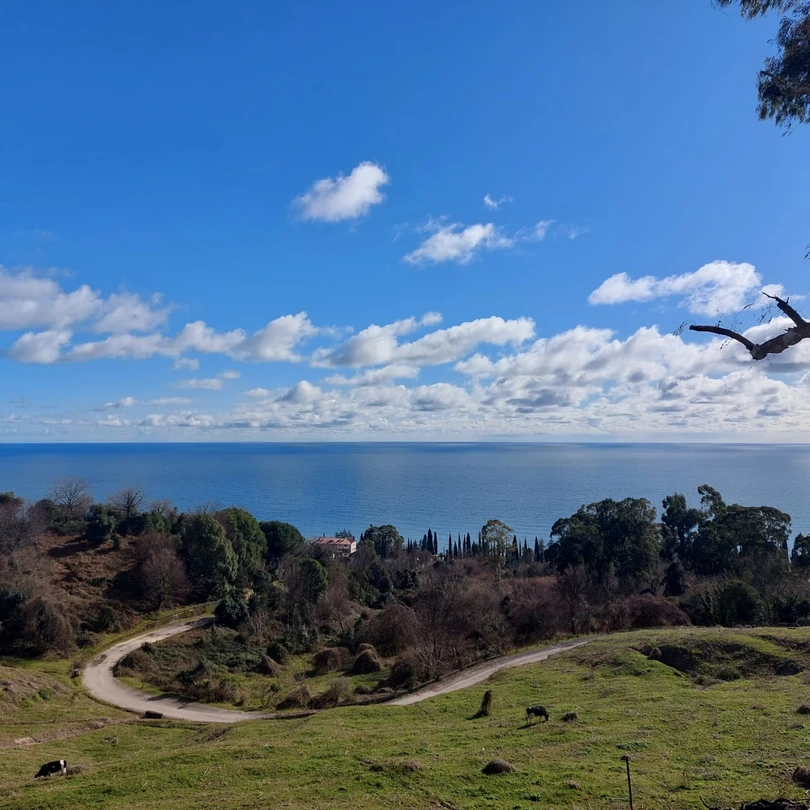 Хотим поблагодарить Даниэля за прекрасно проведенный день 7 марта. Экскурсия прошла просто замечательно, время пролетело незаметно