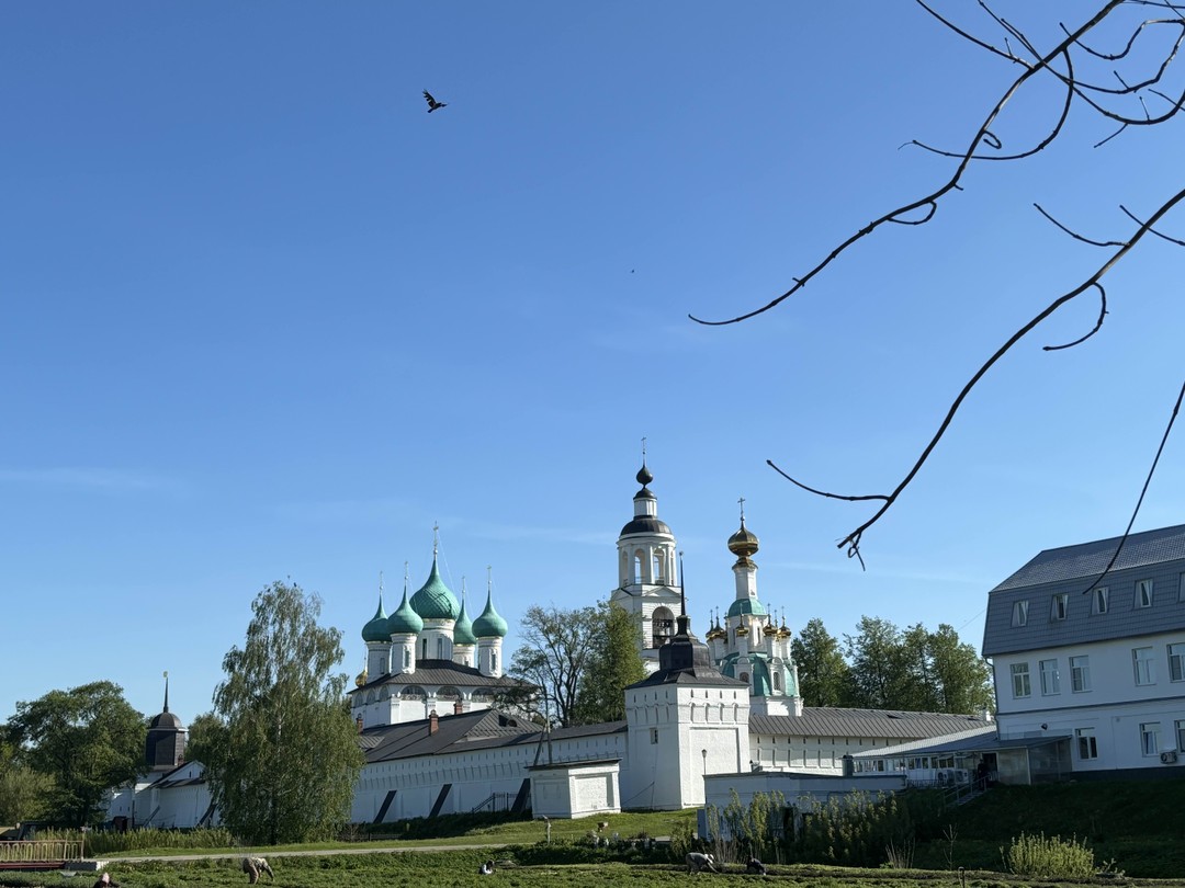 Христианский Ярославль: храмы и Толгский монастырь (Светлана)