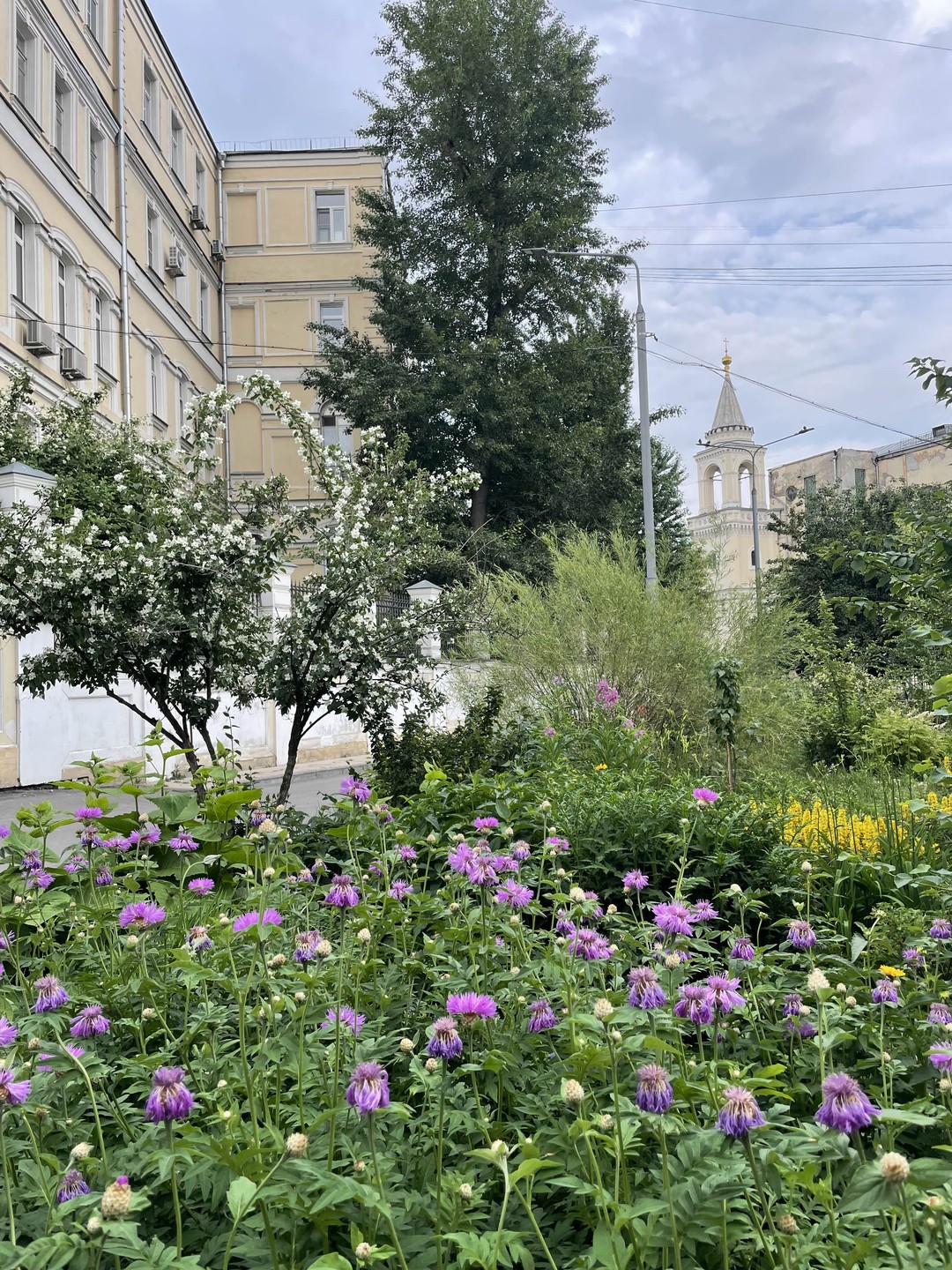 Москва непарадная, приветливая, милая. Индивидуальная экскурсия (Наталья)