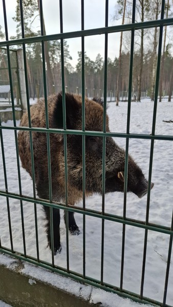 Очень понравилась экскурсия! Гид Иван вёл интересный рассказ во время движения к месту. Первой локаций была