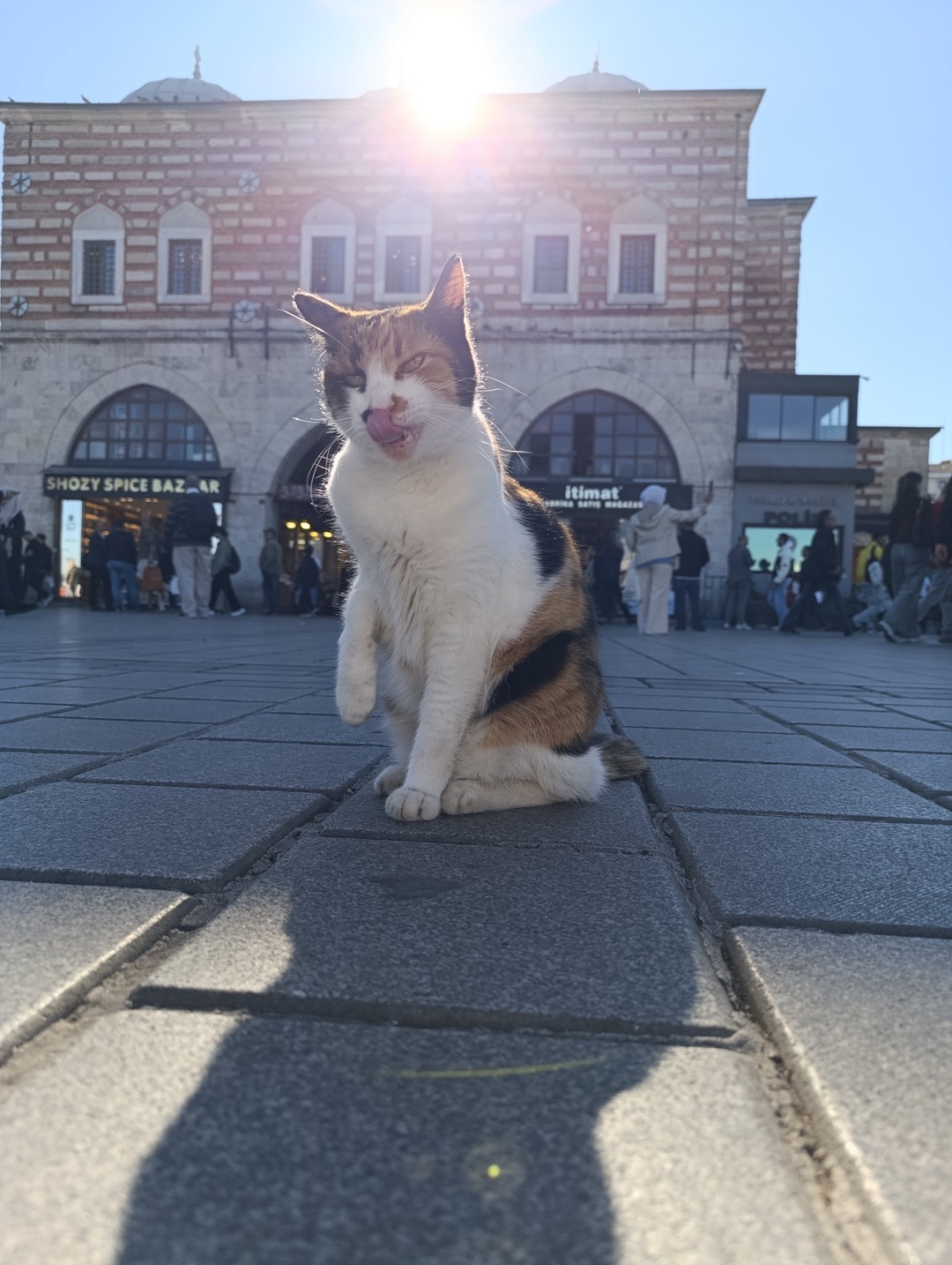 Азбука вкусов Стамбула (Лина)