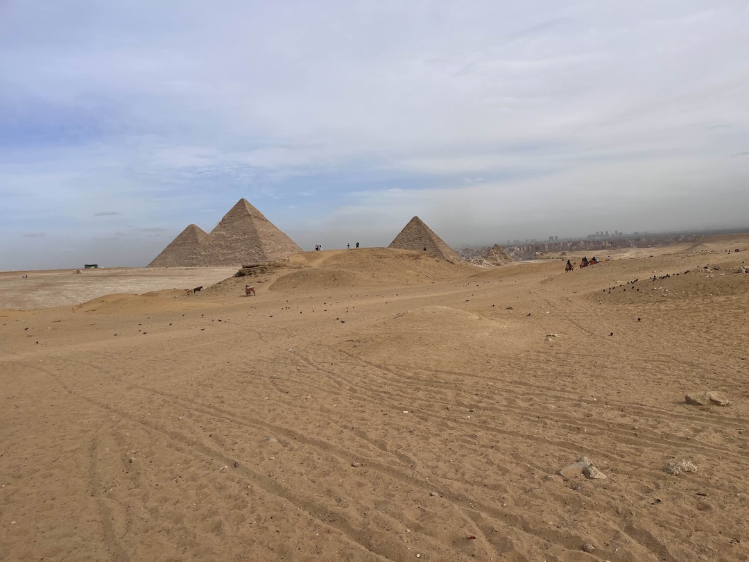 Экскурсия прошла великолепно! Экскурсовод Махмуд невероятно «клиентоориентирован», учтив и вежлив. Экскурсию ведёт спокойно, уверенно и не