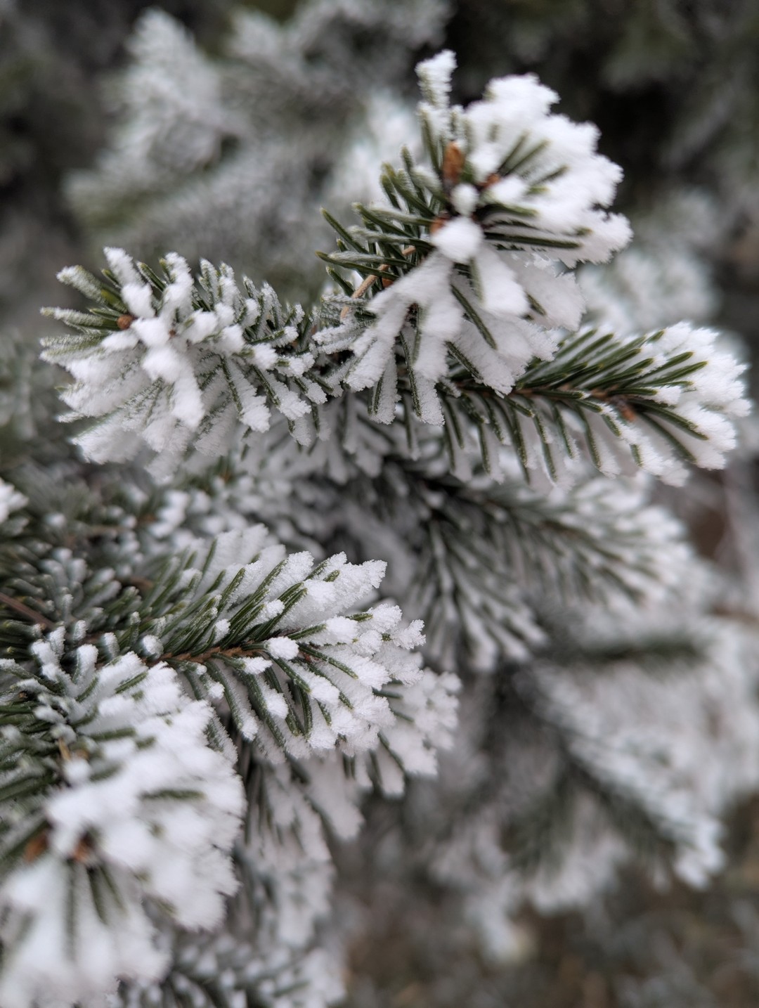 Долго думали брать ли экскурсию или прогуляться самостоятельно, решили заглянуть на Трипстер и посмотреть, что предлагают