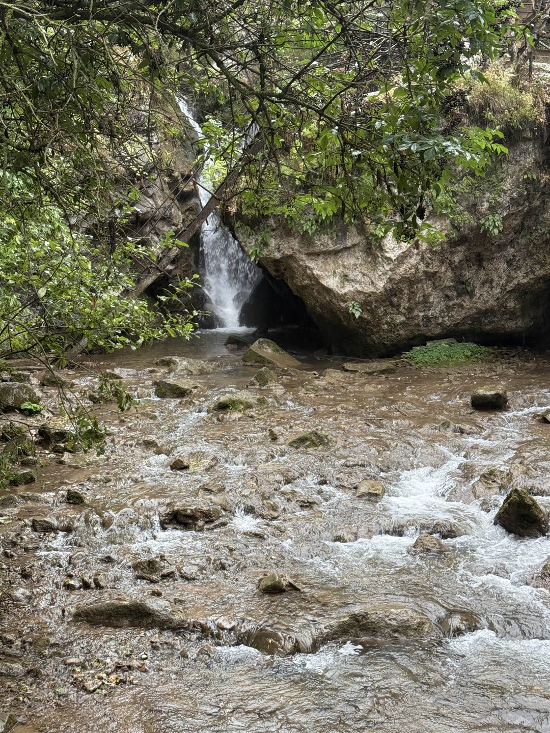 3 в 1 из Пятигорска: гора Кольцо + Медовые водопады + термальные источники (Анастасия)