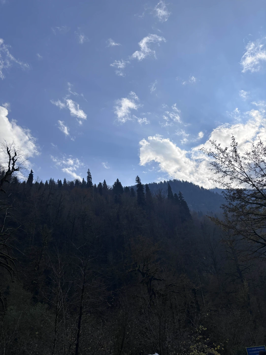 Спокойная и умиротворенная экскурсия,интересные рассказы об Абхазии и очень красивые виды!