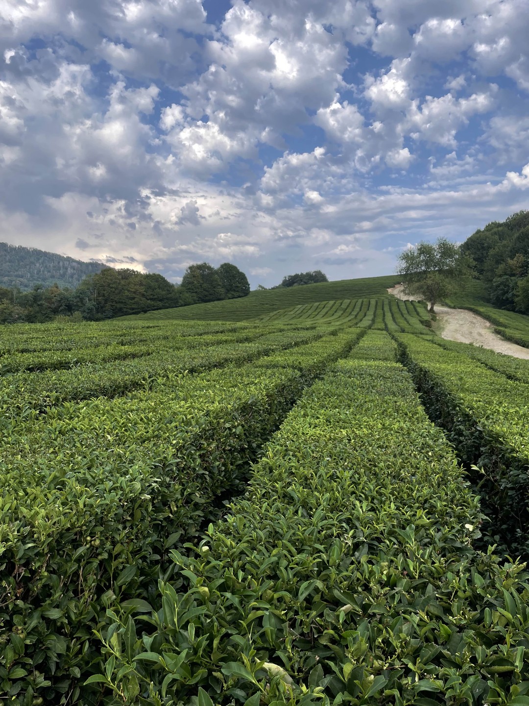 Спасибо Михаилу за проведенную экскурсию! Нам всем понравилось, было очень насыщенно, то что мы и хотели! Ожидания совпали с реальностью)