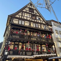 Фото отзыва 1: экскурсия "Свидание со Страсбургом"