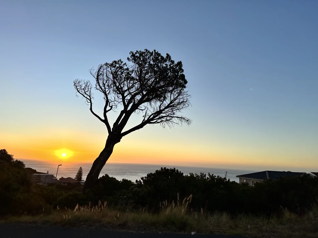 Мы отлично провели день в поездке с Игорем! Брали несколько экскурсий, его была одной из лучших.