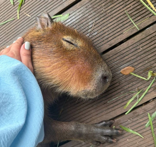 Тропический парк Янода: приключение в сердце джунглей