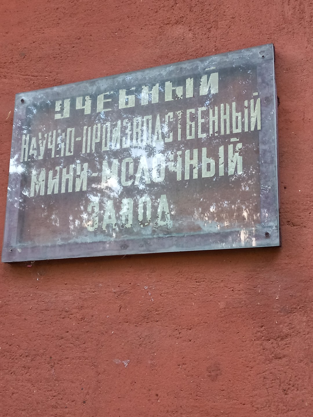 Мы очарованы Тимирязевской академией, Валерием и вообще атмосферой всего, что происходило. Это как кристалл, застывший во