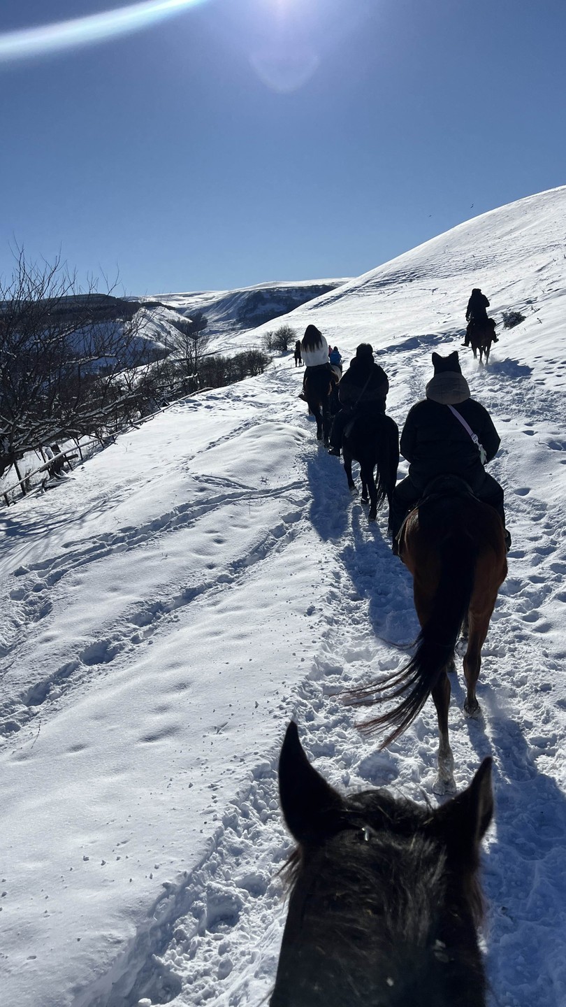 Конная прогулка недалеко от Кисловодска в мини-группе (Олеся)