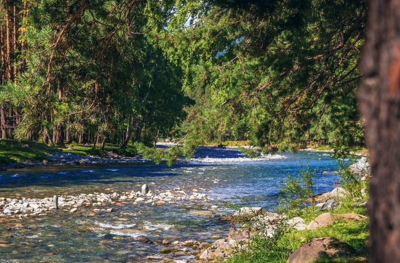 Автотур по весеннему Алтаю: фиолетовые горы и места силы