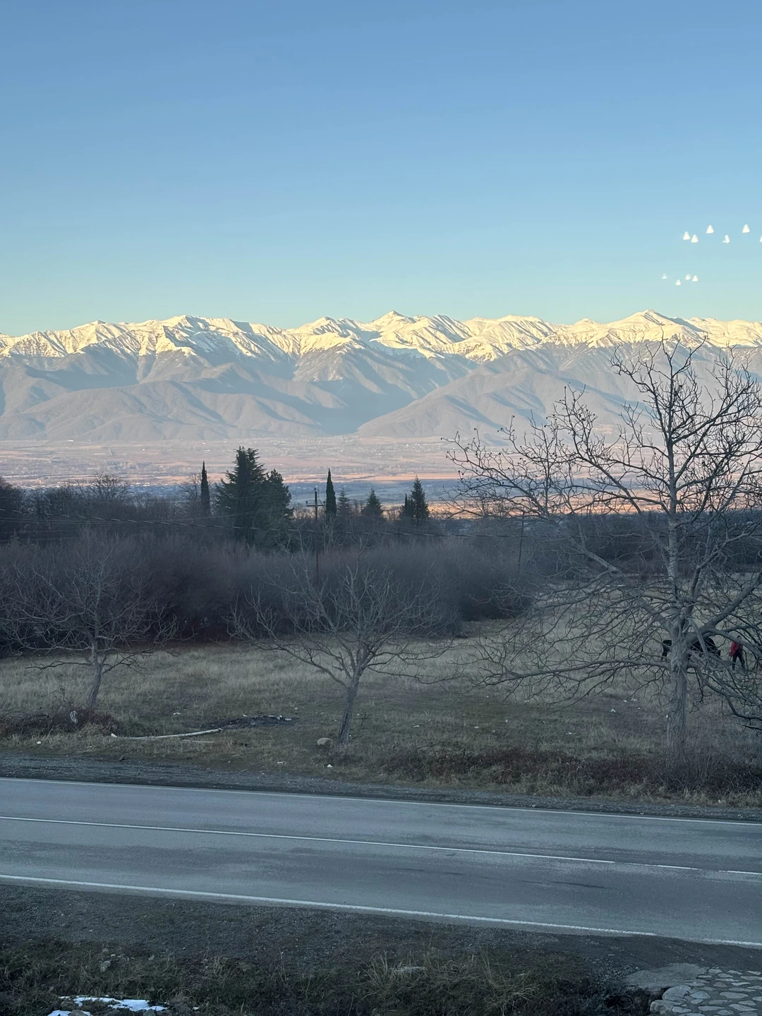 Изысканные вкусы Кахетии: из Тбилиси - в винные места (в группе) (Диана)