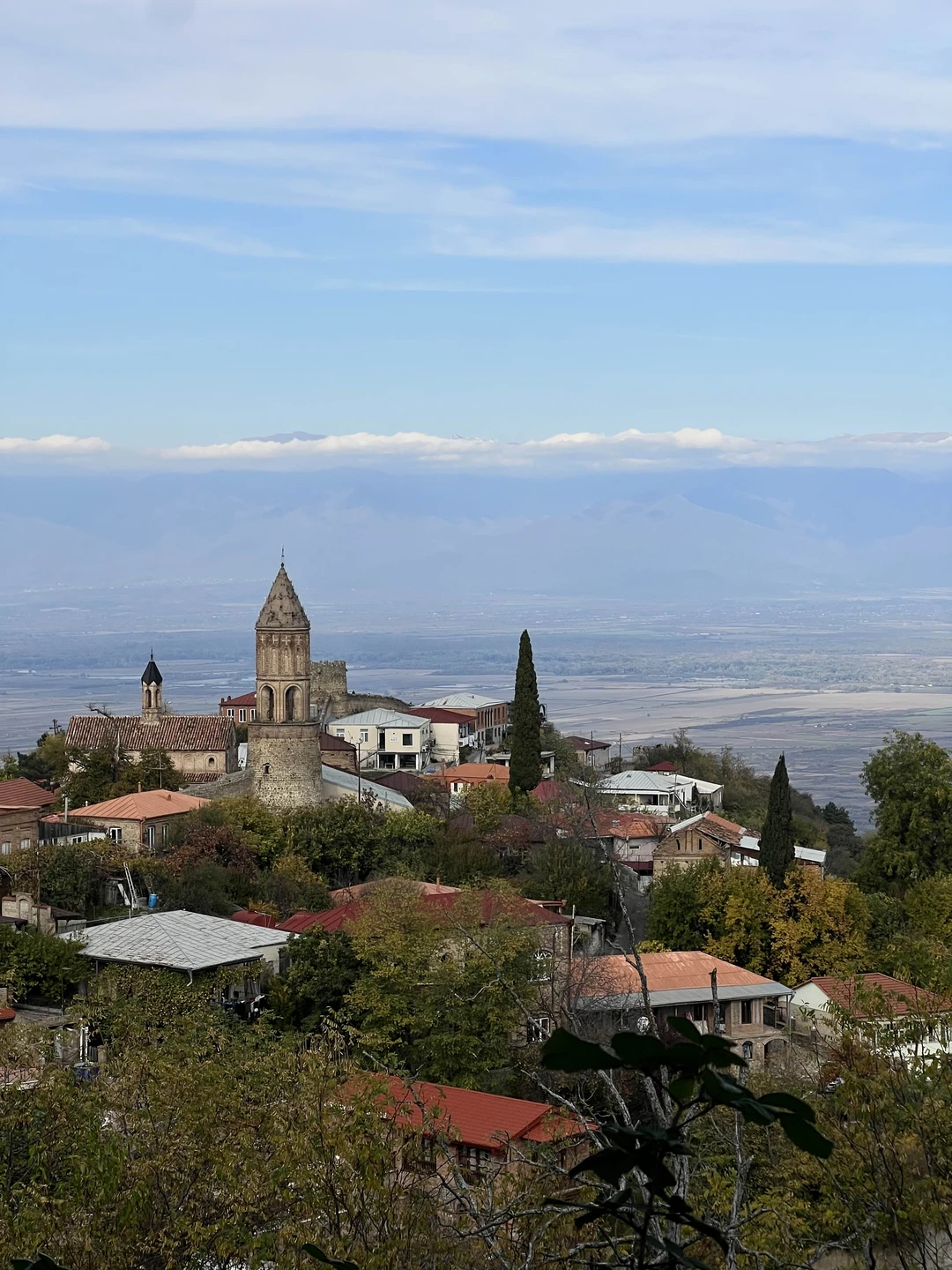 Из Тбилиси - в Кахетию на весь день: вино, храмы и Сигнахи (Алена)