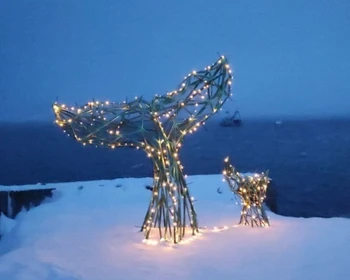 Главное в Териберке: качели, кладбище кораблей, скелеты китов, яйца дракона и многое другое