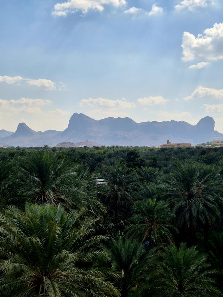 Нам очень понравилась экскурсия. Каньон невероятно красив. Обед был вкусным, дорога комфортная. Хорошая организация и сопровождение