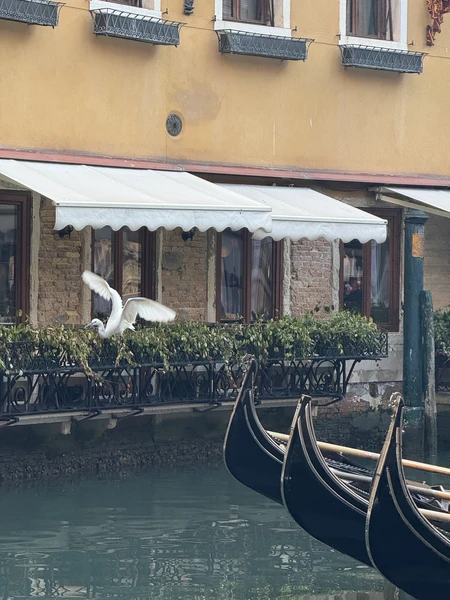 Прекрасная экскурсия! Удобная и структурированая подача информации. Увидели отдельные места, о которых даже не знали. Благодарю