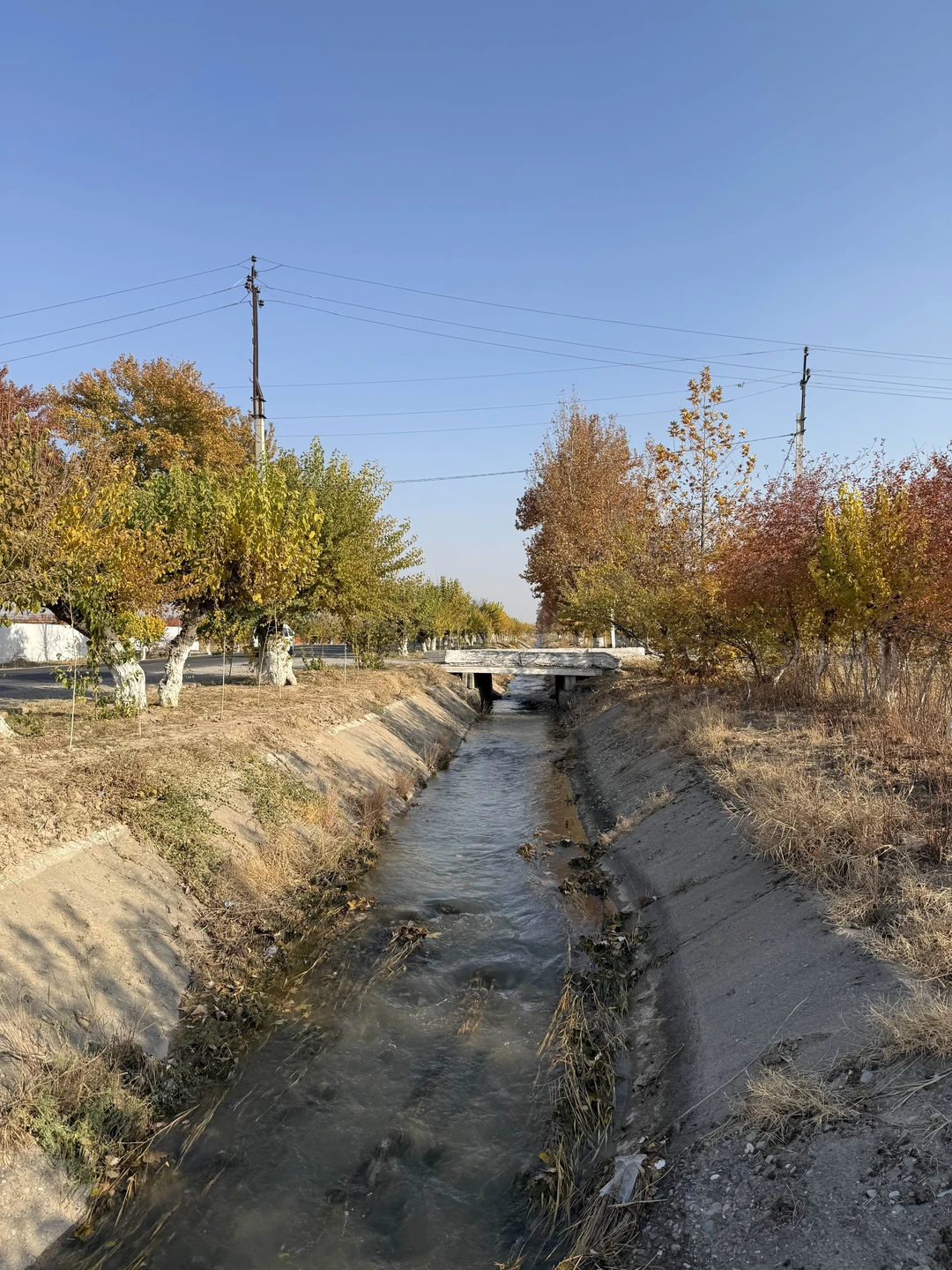 Мы очень довольны поездкой с гидом Бахтийором!