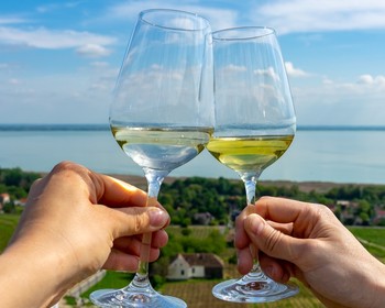 Финальная дегустация на винодельне BJB Lago Winery