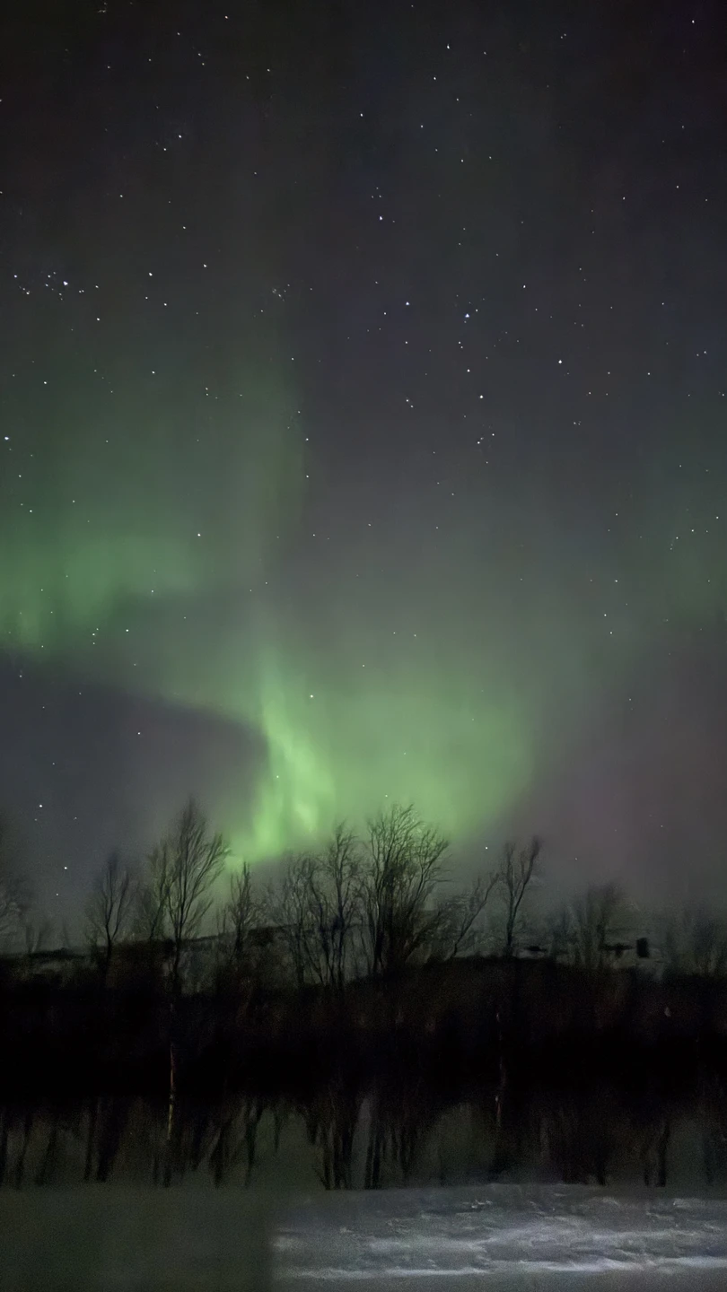 Итак, ездили 8 марта и нашли! Это была настоящая охота. В городе все было затянуто тучами,