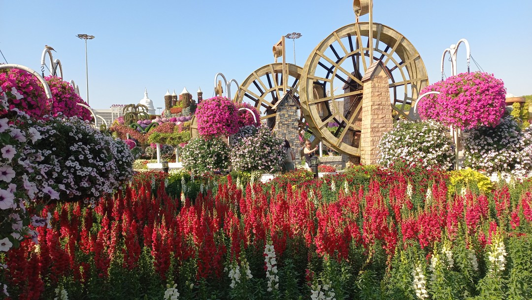 Хотя машина была полностью заполнена: 7 человек, как-то очень удачно все подобрались и было комфортно, как