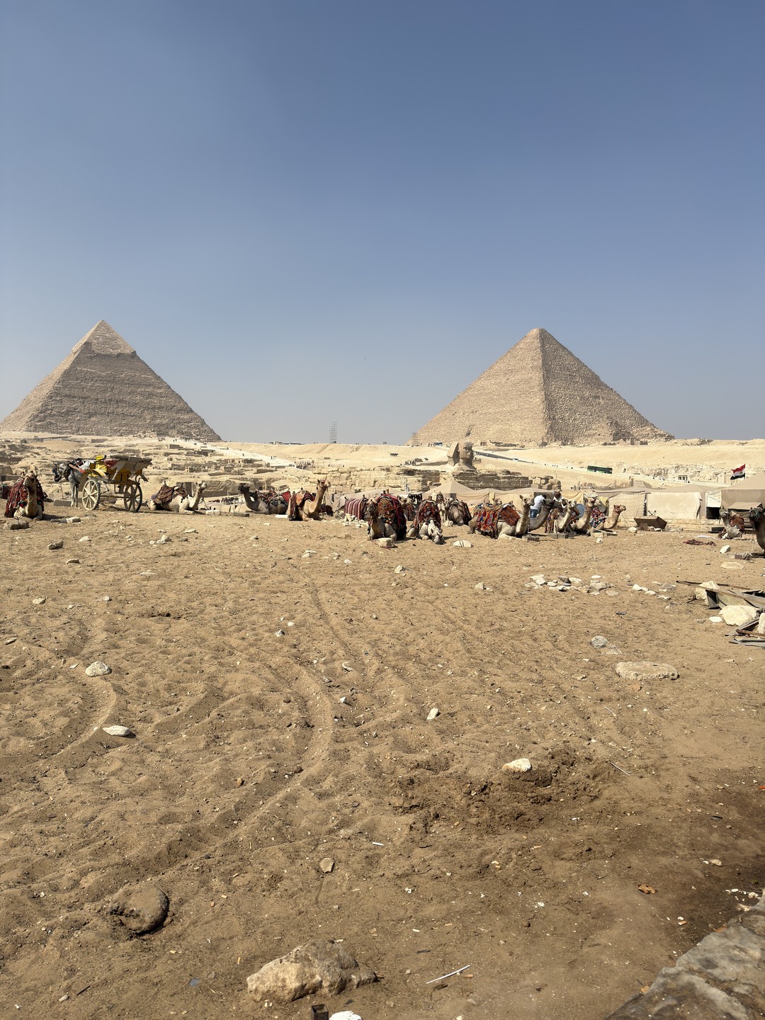 Выражаем искреннюю признательность Махмуду и его команде за прекрасно организованную экскурсию. Этот формат поездки оказался значительно