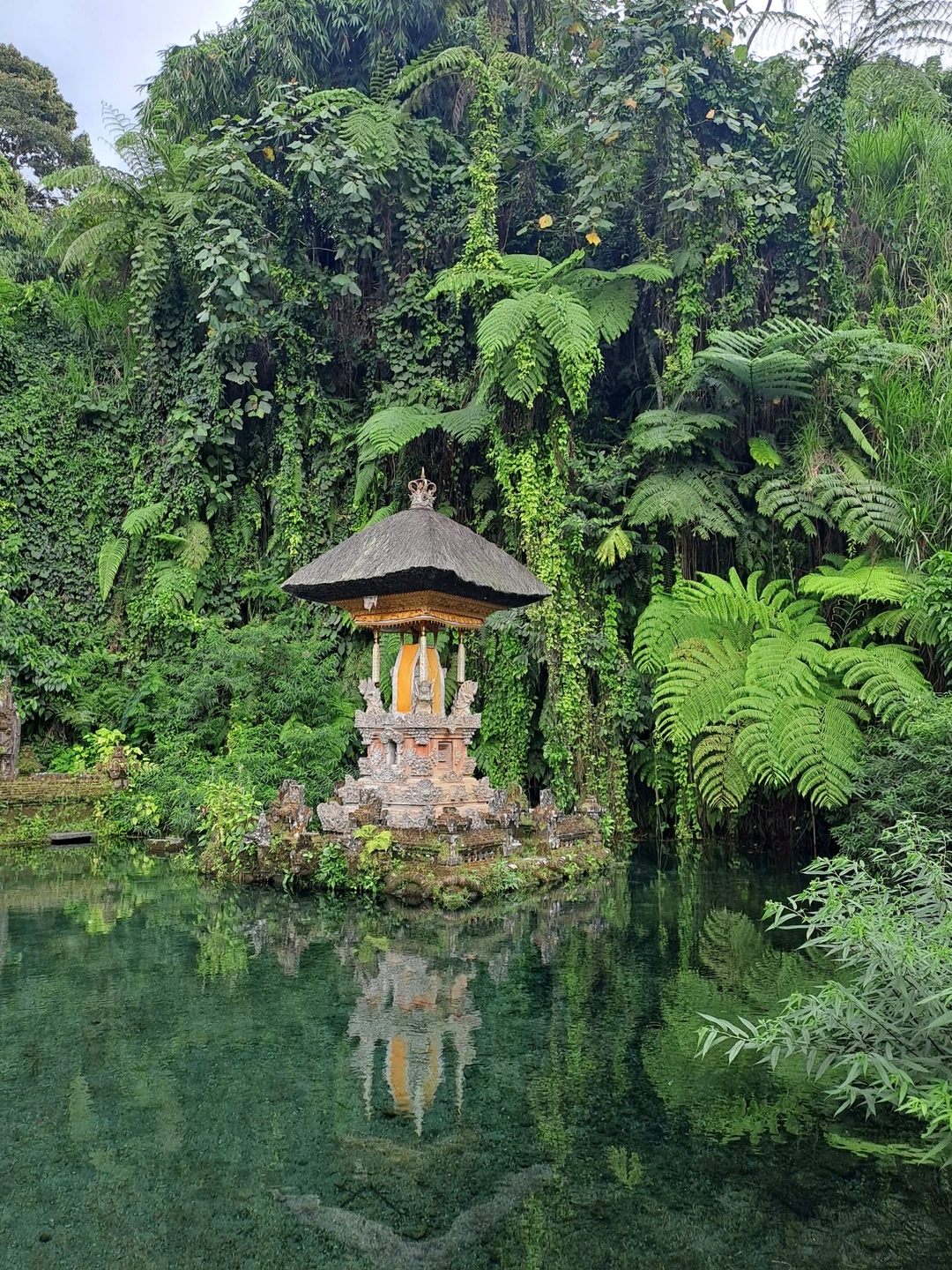 Из множества обзорных экскурсий выбрала эту (из-за храма на воде). Всё прошло отлично! Спасибо Ваяну -