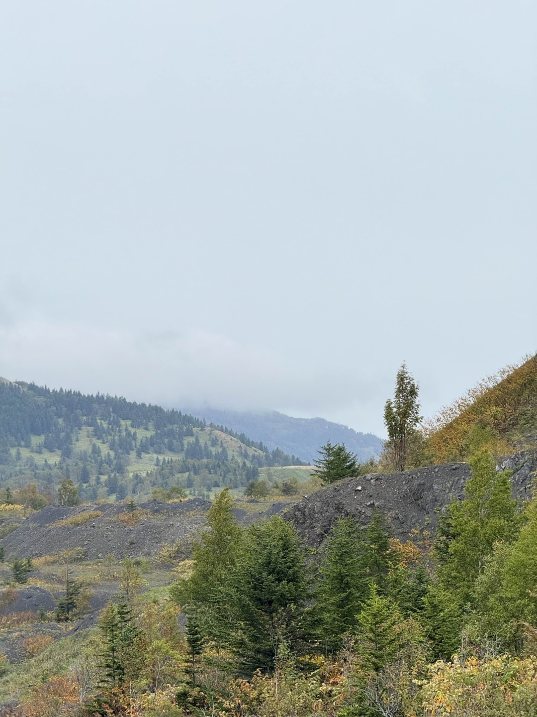 Нам безумно понравился тур. Водители-гиды Николай и Андрей просто мастера, дороги любой сложности им не помеха!