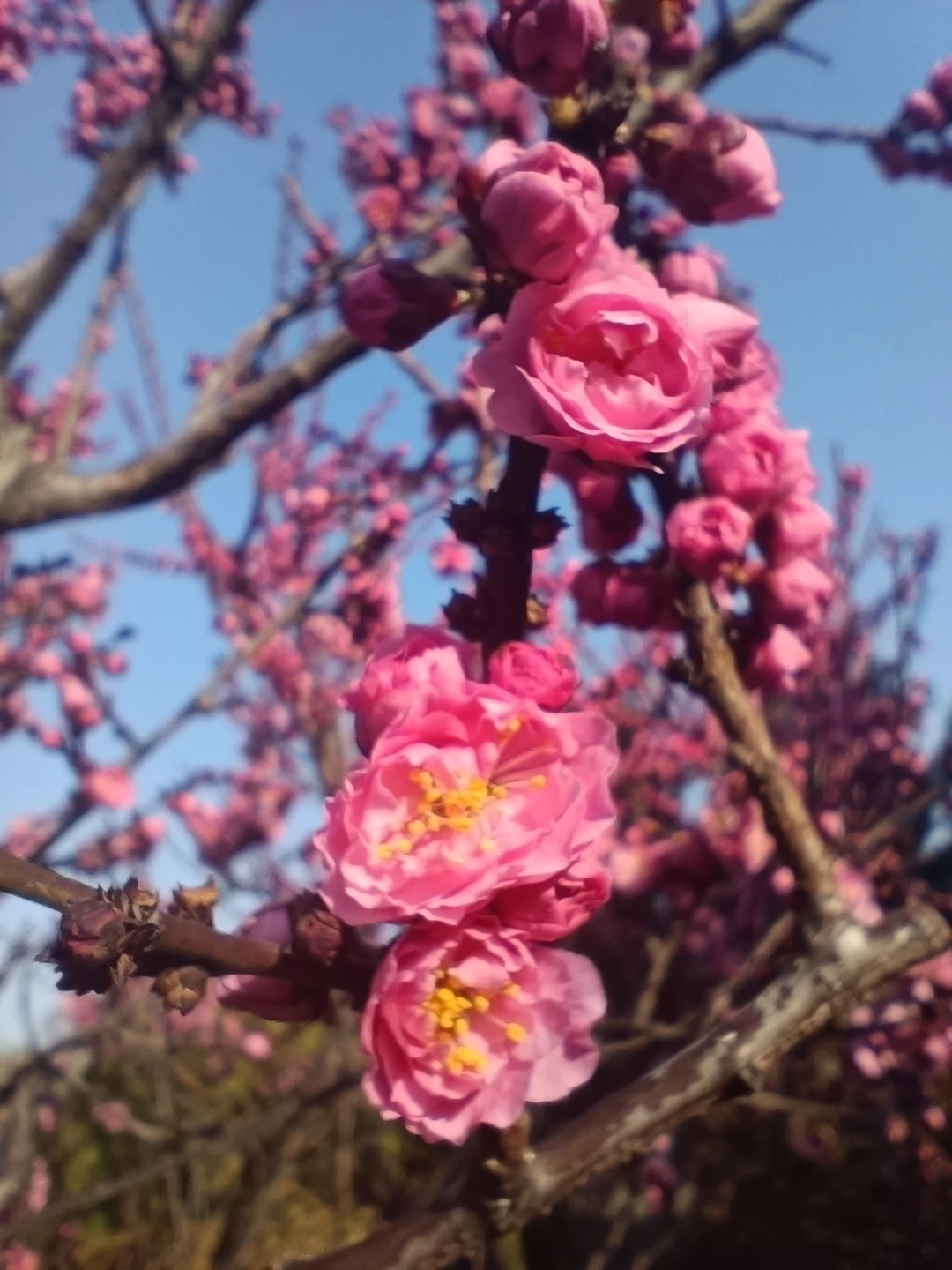 Огромная благодарность Константину за проведенную экскурсию! Интересный колоритный город, есть красивые станции метро, необычные достопримечательности -