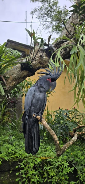 Экскурсию вел Абу. Отлично знает русский язык, с отличным чувством юмора, все подробно показывал и рассказывал