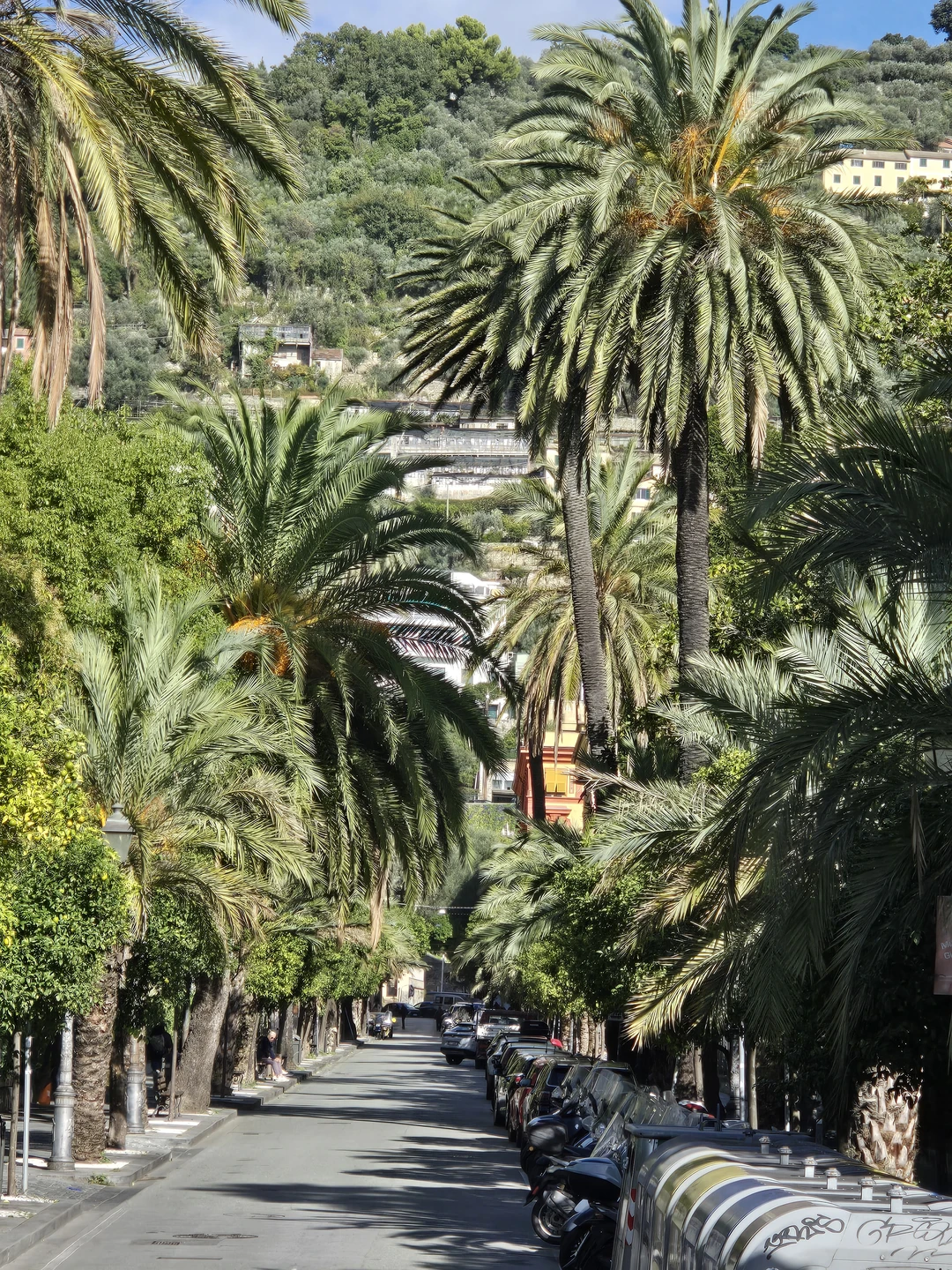 Мы понимали, что заказываем не Геную, а ее живописные окресности. После дня в Риме наполненом туристами