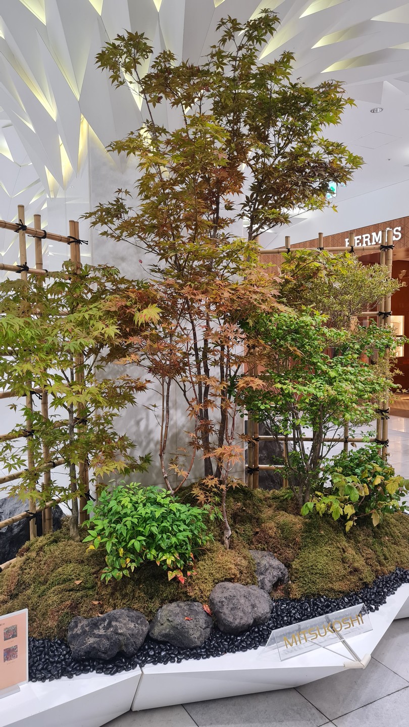 Потрясающая экскурсия с Милой на Гинзе по универсаму, заполненному самой разнообразной свежей едой, и по соседним