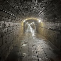 Фото отзыва 1: экскурсия "По следам императоров: Царское Село, Павловск и Гатчина"