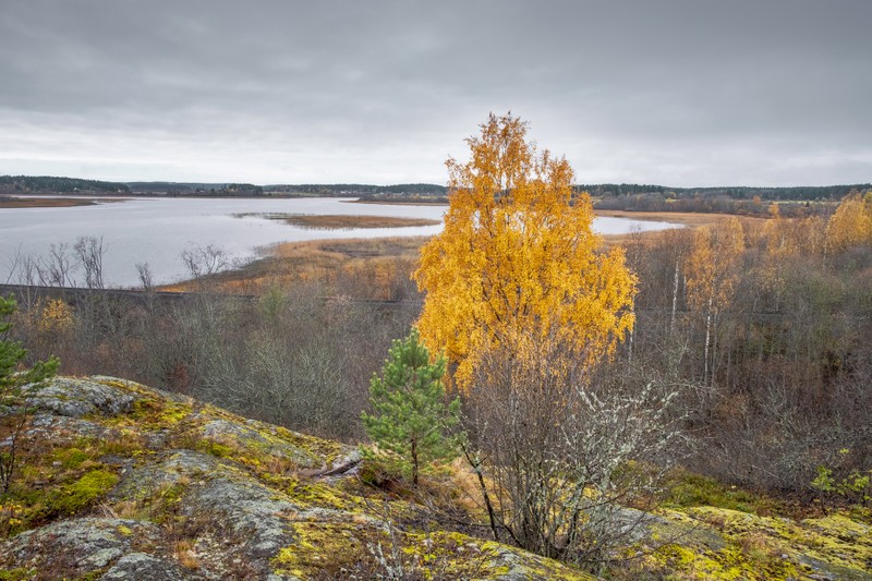 Фото экскурсии 11