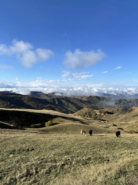 Отличная экскурсия: программа, организация все на высоте. Экскурсия в небольшой группе, есть возможность спокойно осмотреть все
