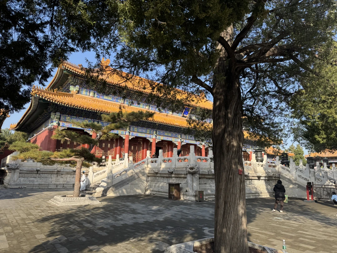 Пекин и Великая Китайская стена за 1 день: индивидуальная VIP-экскурсия (Евгений)