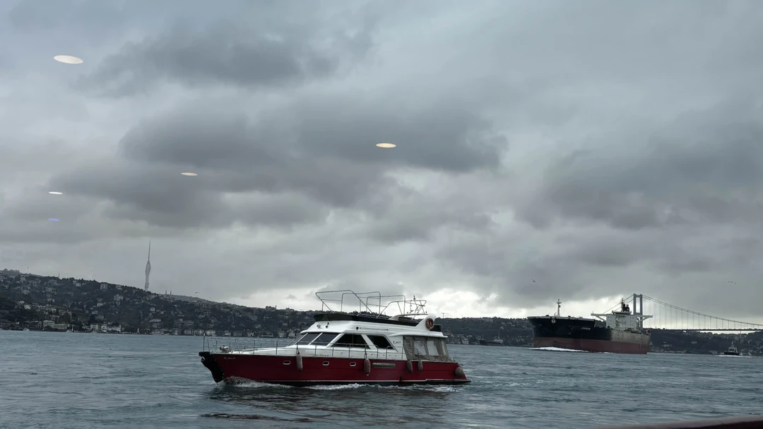 Очень понравилась прогулка. Всем советую🥰