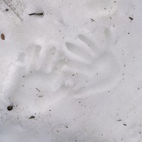 Фото отзыва 3: экскурсия "Джилы-Су за 1 день: незабываемый джип-тур"