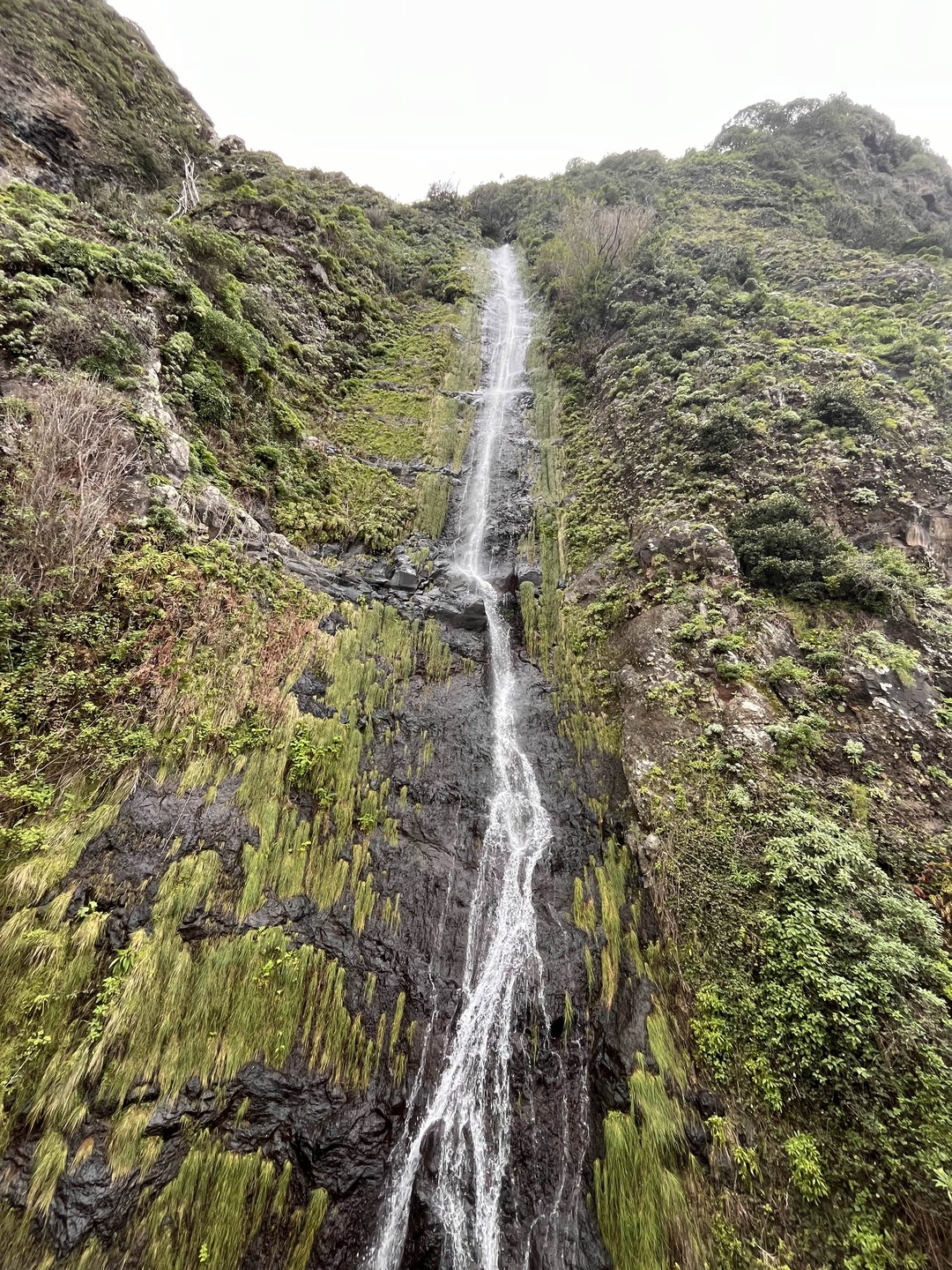 Мы увидели красивейшие пляжи, водопады, красоты Мадейры, старые дороги, купались в лавовых бассейнах, кушали вкусную еду.