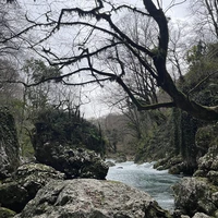 Фото отзыва 1: экскурсия "Фотопутешествие по Абхазии на Mini Cooper (из Сочи)"