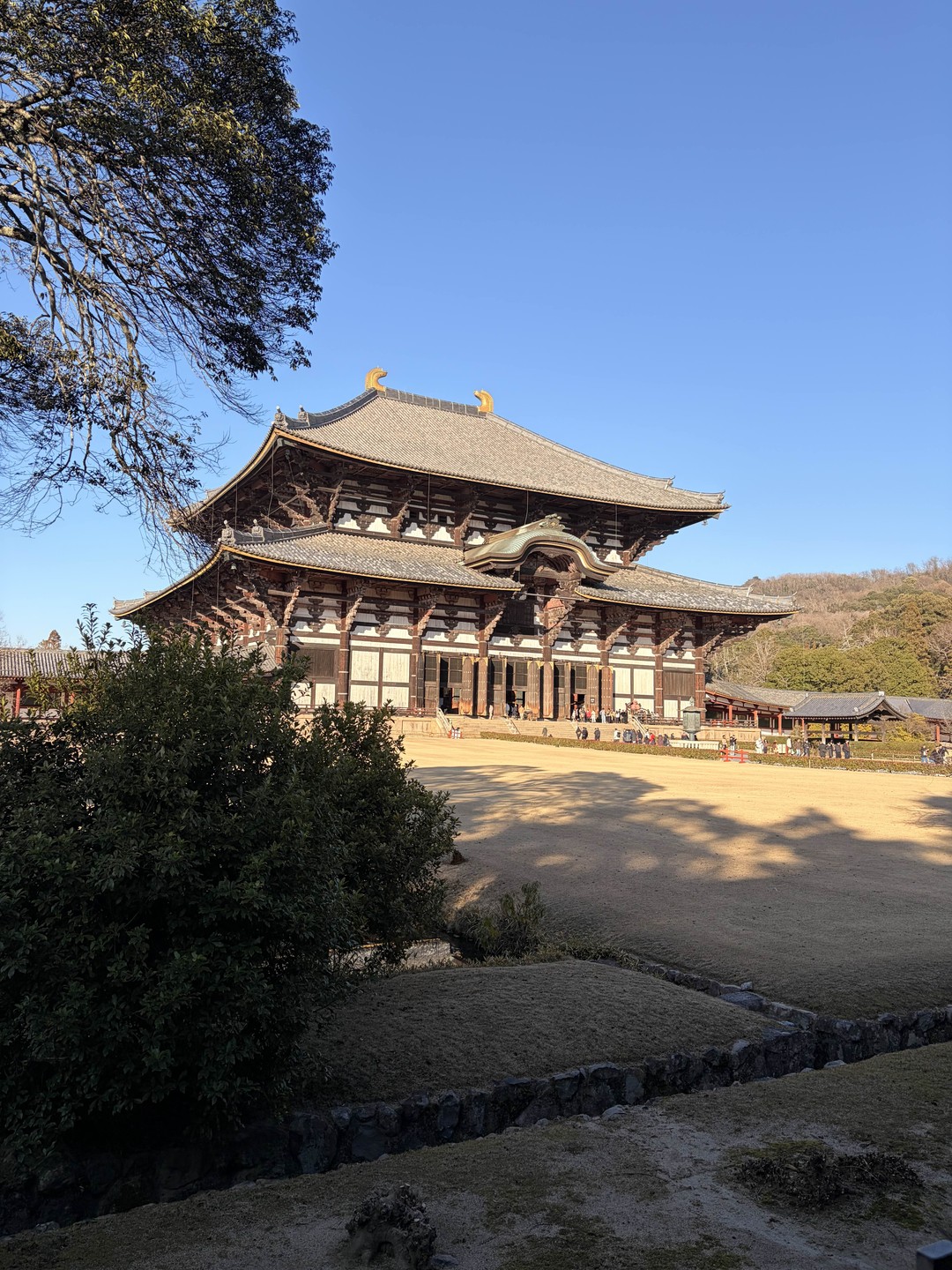 Благодарны Ольге за проведенную экскурсию, за день успели посетить самые интересные достопримечательности. Своим ходом потратили бы 3 дня